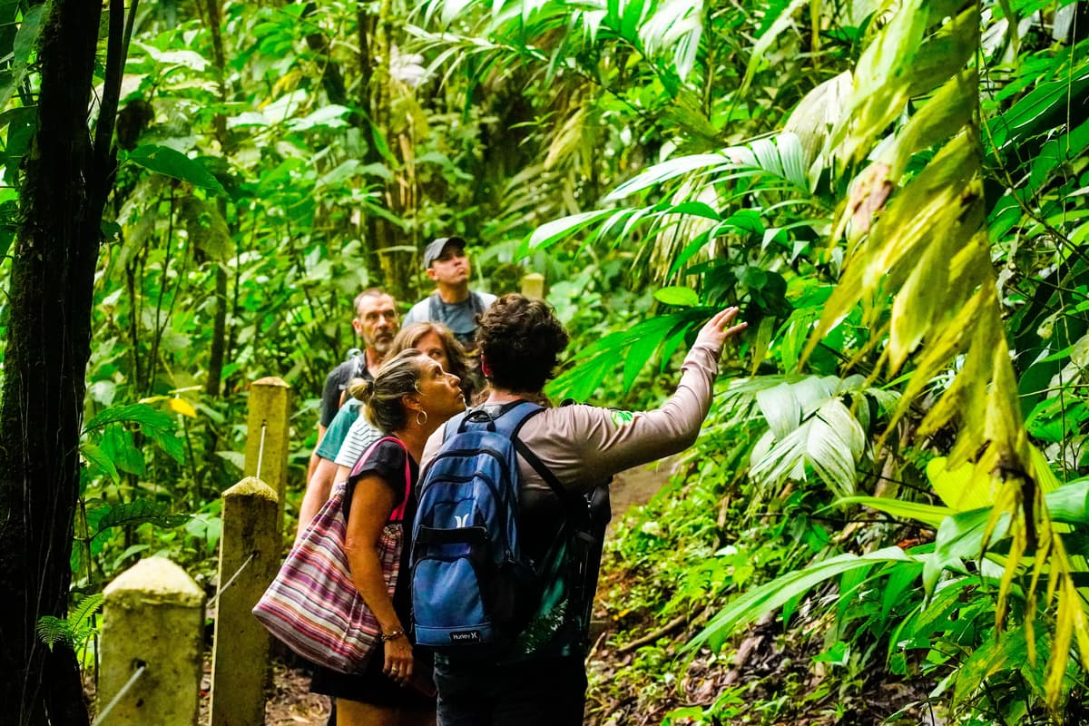 Arenal Volcano Trails – El Silencio - Photo 7
