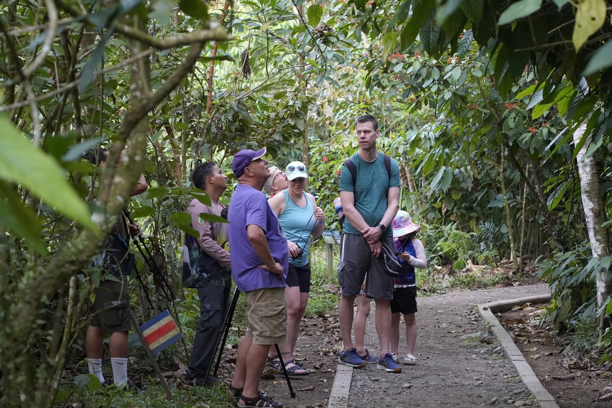 Sloth Tour - Photo 3
