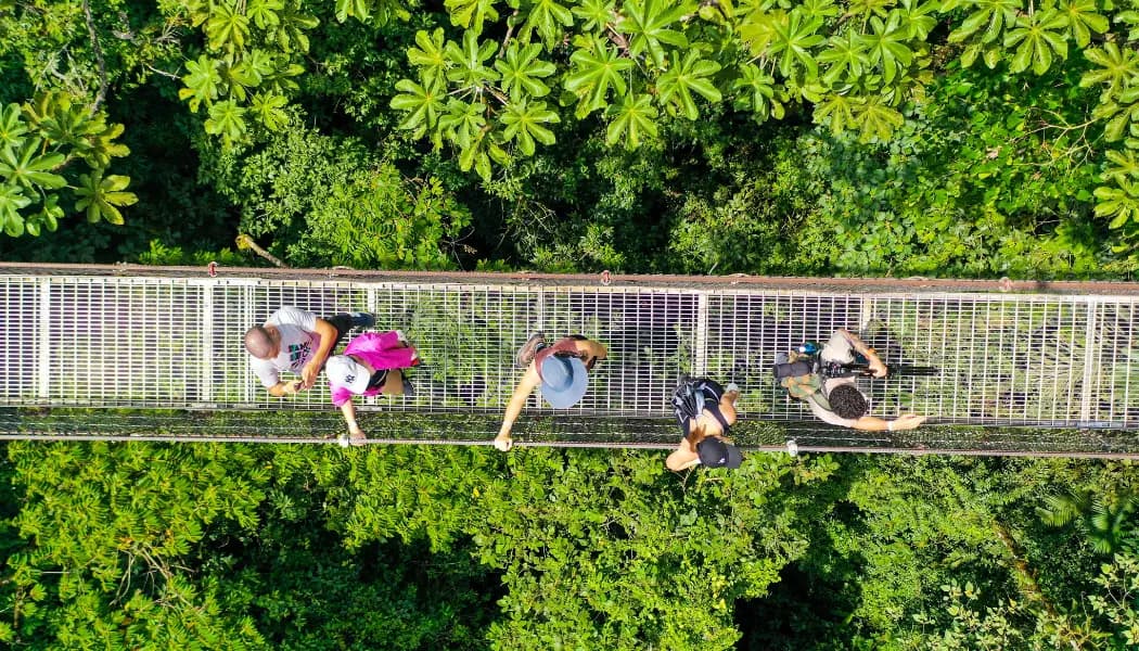 Hanging Bridges Hike / Mistico Park