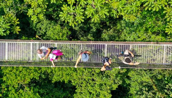 Hanging Bridges Hike / Mistico Park