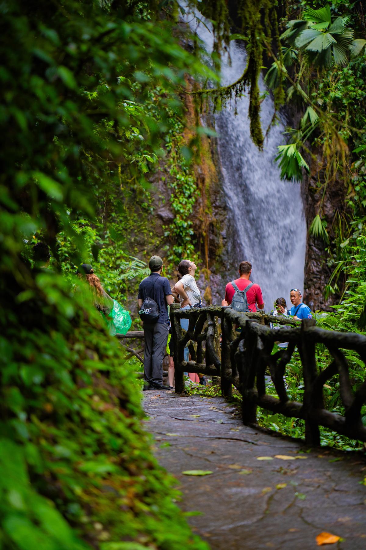 Hanging Bridges Hike / Mistico Park - Photo 8