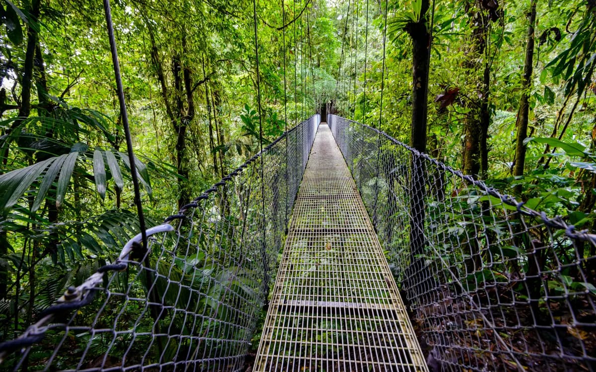 Hanging Bridges Hike / Mistico Park - Photo 2