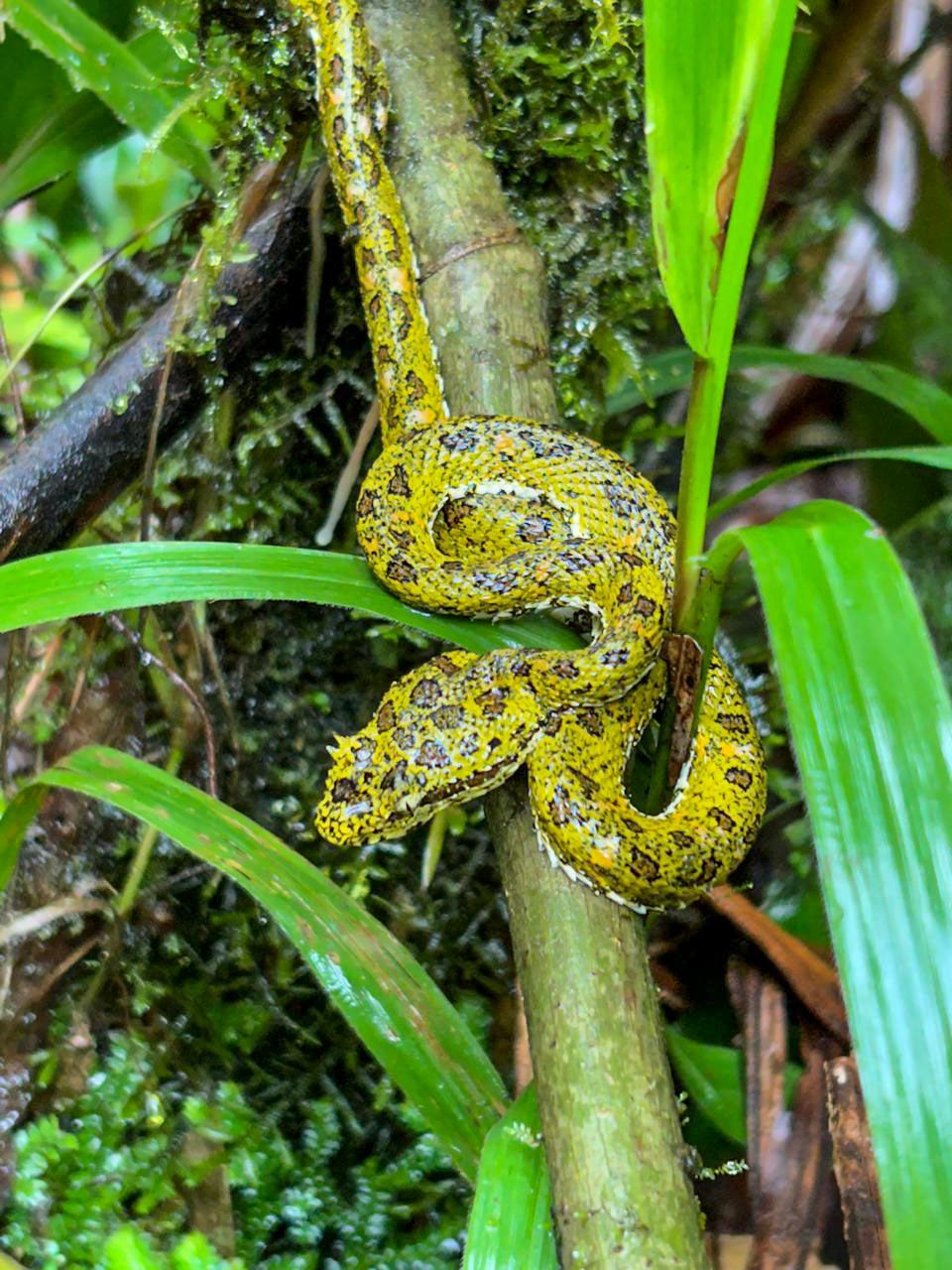 Rio Celeste Hike - Photo 1