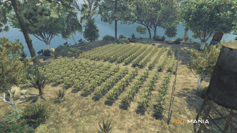 FIVEM Coke Island | Hidden Drug Lab Island MLO | Interior & Exterior | Processing Lab | Crop Farm | Add-On | Optimized | Fivem Ready | High Quality — image 11