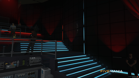 FIVEM The Palace Night Club | Luxury Nightclub MLO | Interior & Exterior | Multiple Bars | VIP Areas | Office Space | Add-On | Optimized | Fivem Ready | High Quality — image 9