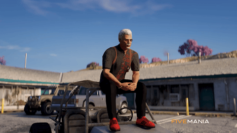 FIVEM Paleto Heist v2 | Dynamic Bank Heist Script | Custom MLO | Laser Zones | Looting System | Minigames | Add-On | Optimized | Fivem Ready | High Quality, image 20
