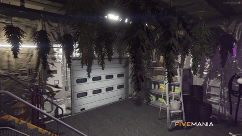 FIVEM Block Budz Weedshop | Immersive Cannabis Dispensary MLO | Interior & Exterior | Custom Props | Optimized | Add-On | Fivem Ready | High Quality — image 13