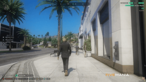FIVEM HUD Script | Customizable User Interface | Dynamic HUD Styles | Color Customization | Vehicle Controls | Add-On | Optimized | Fivem Ready | High Quality, image 2