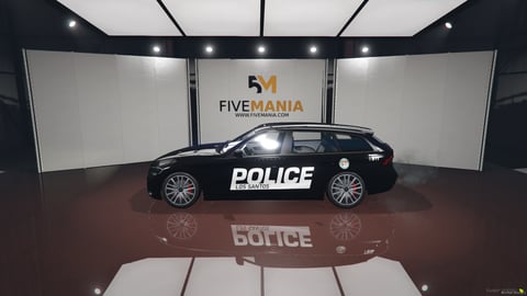 FIVEM Dlrhine | Police Wagon [Unbadged] Add-On | Custom Livery | Working Lights | Optimized | Fivem Ready | High Quality — image 7
