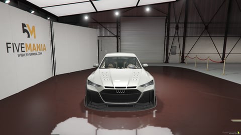 FIVEM Audi RS6 Avant (C8) | Realistic Performance Wagon [Unbadged] Add-On | Custom Bodykit | HQ Interior | Working Lights | Optimized | Fivem Ready | High Quality, image 4