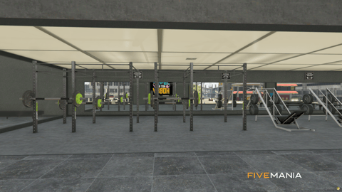 FIVEM Gym Fitness Center, Modern Workout Gym MLO, image 6