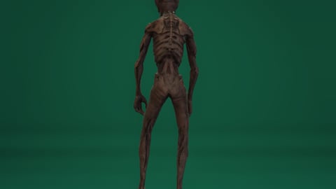 Silas | FiveM Male Ped | Horrific Zombie Creature | Optimized & Fivem Ready [Add-On], image 7