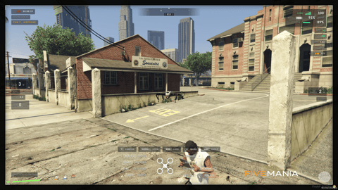 FIVEM SkyEye Police Drone | Advanced Police Drone Script | Target Tracking | Taser Functionality | Thermal Vision | Add-On | Optimized | Fivem Ready | High Quality, image 15