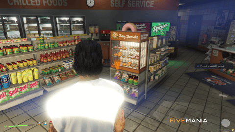 FIVEM Map Studio Pro | Advanced Map Editor Script | Object Placement & Management | JSON Import/Export | History & Undo | Add-On | Optimized | Fivem Ready | High Quality, image 11