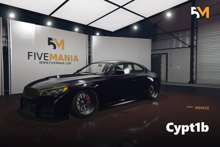 FIVEM Cypt1b, Custom Sports Coupe [Unbadged] Add-On