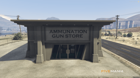 FiveM Ammunation Store, image 13