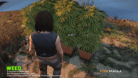 FIVEM Drug System + Outposts Package | Comprehensive Crime Script Bundle | Multiple Drug Labs | Processing Minigames | Outpost Locations | Police Integration | Add-On | Optimized | Fivem Ready | High Quality, image 46