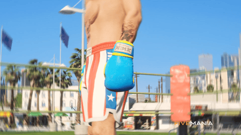 FIVEM Boxing Event Script | Interactive Minigame | Player vs Player | Customizable Arena | UI & Controls | Add-On | Optimized | Fivem Ready | High Quality, image 16