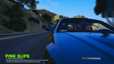 FIVEM Street Racing V2 | Advanced Racing System | Custom Tracks | Leaderboards | ELO Ranking | Profile Search | Add-On | Optimized | Fivem Ready | High Quality, image 31