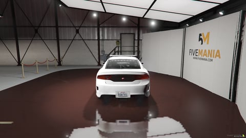 FIVEM Dodge Charger | Emergency EMS Vehicle [Unbadged] Add-On | Working Emergency Lights | Push Bar | Custom Liveries | Optimized | Fivem Ready | High Quality, image 6