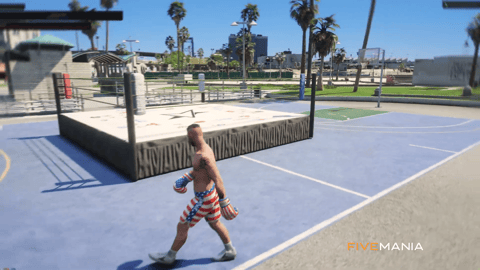 FIVEM Boxing Event Script | Interactive Minigame | Player vs Player | Customizable Arena | UI & Controls | Add-On | Optimized | Fivem Ready | High Quality, image 4