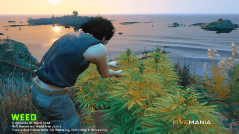 FIVEM Drug System + Outposts Package | Comprehensive Crime Script Bundle | Multiple Drug Labs | Processing Minigames | Outpost Locations | Police Integration | Add-On | Optimized | Fivem Ready | High Quality, image 45