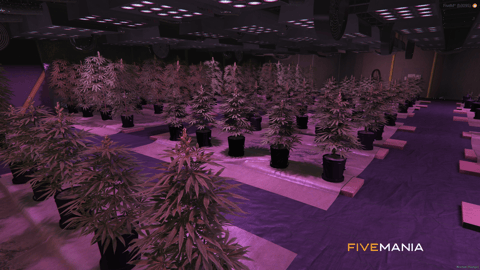 FIVEM Weed Lab | Hidden Drug Processing MLO | Interior & Exterior | Grow & Process Areas | Optimized | Add-On | Fivem Ready | High Quality — image 10