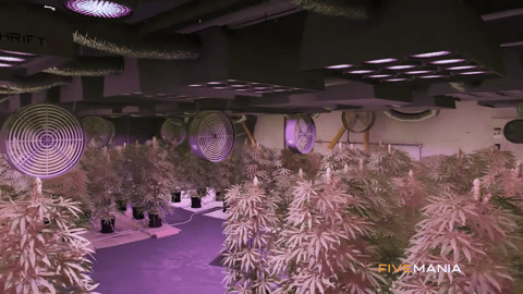 FIVEM Illegal Business | Advanced Crime & Business Management System | Multiple Business Types | Upgrades & Ownership | UI & MLO Integration | Add-On | Optimized | Fivem Ready | High Quality, image 4