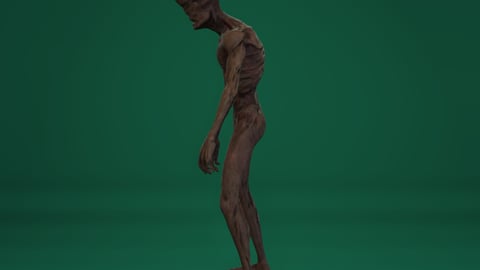 Silas | FiveM Male Ped | Horrific Zombie Creature | Optimized & Fivem Ready [Add-On], image 8