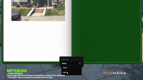 FIVEM Notebook Script | Interactive In-Game Utility | Text Editing | Image Embedding | Freehand Drawing | Customization | Add-On | Optimized | Fivem Ready | High Quality, image 14