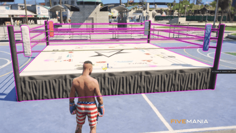 FIVEM Boxing Event Script | Interactive Minigame | Player vs Player | Customizable Arena | UI & Controls | Add-On | Optimized | Fivem Ready | High Quality, image 3