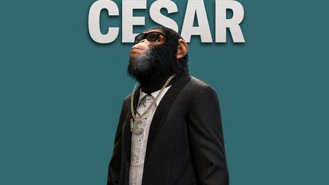 Cesar | Male Ped | Multiple Outfits | Optimized & Fivem Ready [Add-On] cover