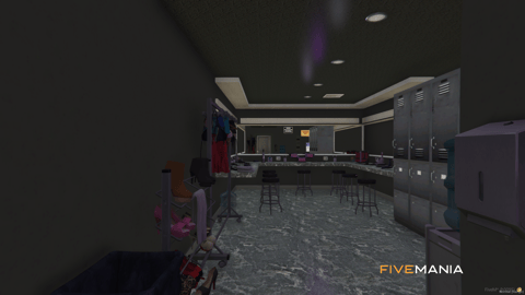 Paradise Strip Club, image 8