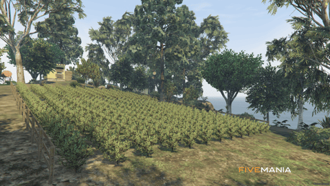 FIVEM Coke Island | Hidden Drug Lab Island MLO | Interior & Exterior | Processing Lab | Crop Farm | Add-On | Optimized | Fivem Ready | High Quality — image 5
