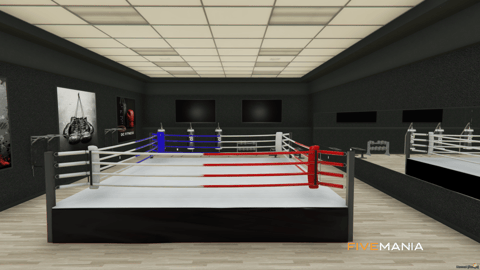 FIVEM Gym Fitness Center, Modern Workout Gym MLO, image 10
