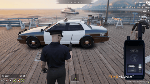 FIVEM Radio V3 | Advanced Voice Radio System | Custom UI | Voice Chat Integration | Channel Management | Optimized | Add-On | Fivem Ready | High Quality, image 4