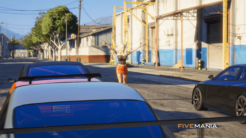 FIVEM Street Racing V2 | Advanced Racing System | Custom Tracks | Leaderboards | ELO Ranking | Profile Search | Add-On | Optimized | Fivem Ready | High Quality, image 4