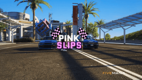 FIVEM Street Racing V2 | Advanced Racing System | Custom Tracks | Leaderboards | ELO Ranking | Profile Search | Add-On | Optimized | Fivem Ready | High Quality, image 30