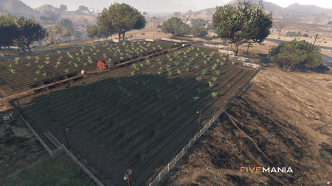 FIVEM Daddy Tobacco | Premium Tobacco Business MLO | Interior & Exterior | Retail Area & Lounge | Processing & Storage | Add-On | Optimized | Fivem Ready | High Quality — image 5