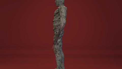 Damon | FiveM Male Ped | Undead Zombie Character | Multiple Outfits | Optimized & Fivem Ready [Add-On], image 8
