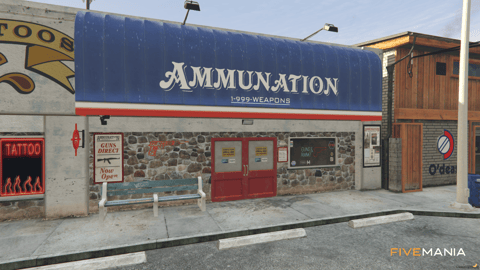 FIVEM Julia Gunstore | Custom Ammunation MLO | Interior & Exterior | Weapon Displays | Custom Props | Add-On | Optimized | Fivem Ready | High Quality — image 2