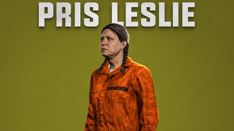 Pris Leslie | Female Ped | Multiple Outfits | Optimized & Fivem Ready [Add-On] cover