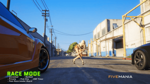FIVEM Street Racing V2 | Advanced Racing System | Custom Tracks | Leaderboards | ELO Ranking | Profile Search | Add-On | Optimized | Fivem Ready | High Quality, image 5