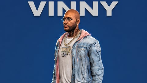 Vinny | Male Ped | Multiple Outfits | Optimized & Fivem Ready [Add-On] cover