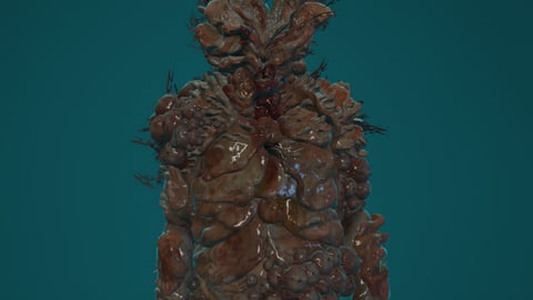 Bloater | FiveM Male Ped | Infected Monster Character | Multiple Outfits | Optimized & Fivem Ready [Add-On], image 4