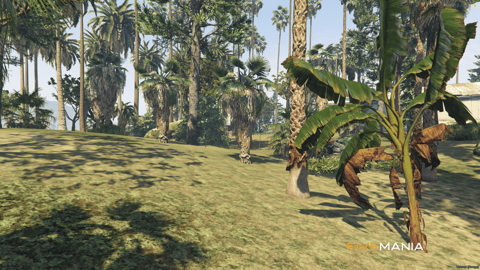 FIVEM Illegal Island | Custom Island Map | Custom Props | Unique Location | Add-On | Optimized | Fivem Ready | High Quality — image 8