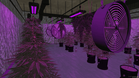 FIVEM Families Trap House | Criminal Hideout MLO | Drug Processing Area | Lounge & Office | Storage Room | Add-On | Optimized | Fivem Ready | High Quality — image 14