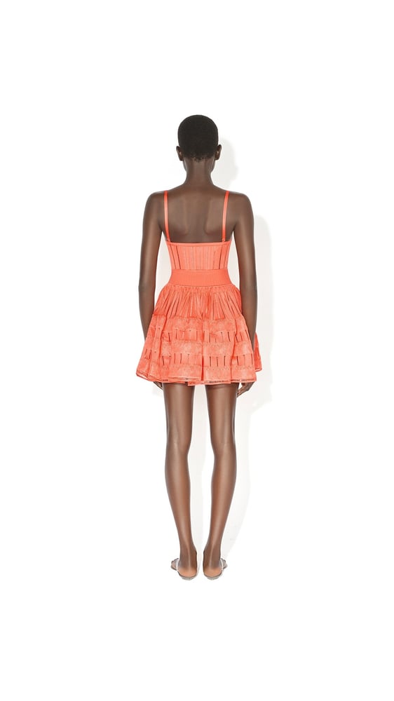 ROBE CRINOLINE BRILLANTE