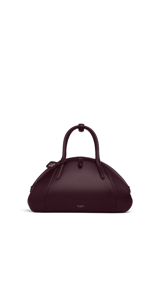 SAC PURSE PORTÉ MAIN EN CUIR