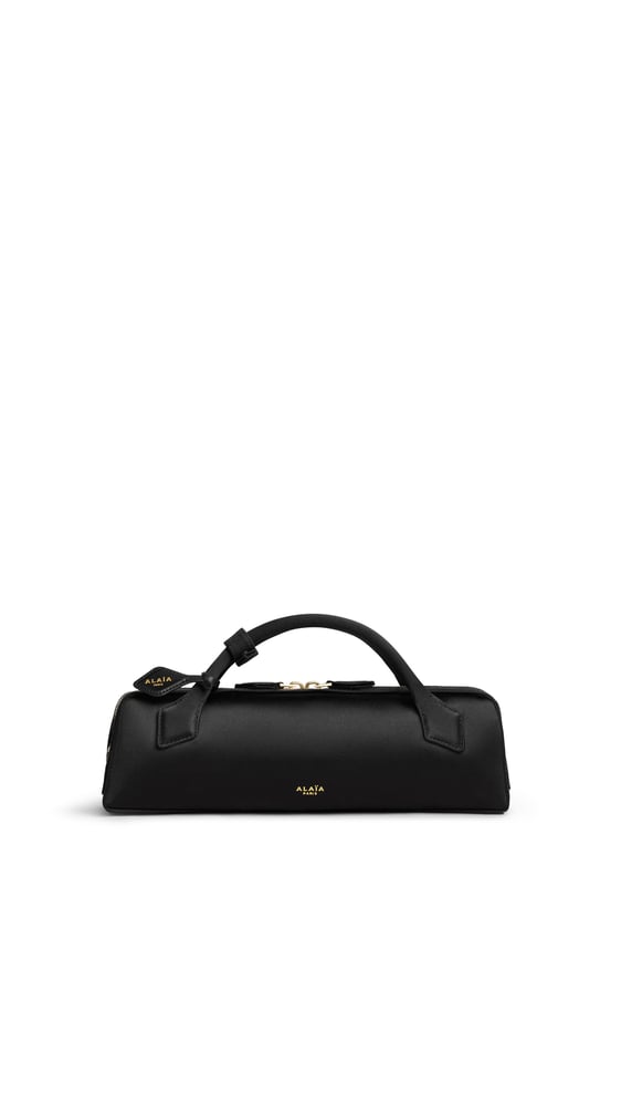 LE TECKEL CLUTCH EN SATIN